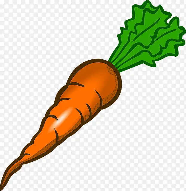果汁胡萝卜蔬菜夹艺术有机胡萝卜