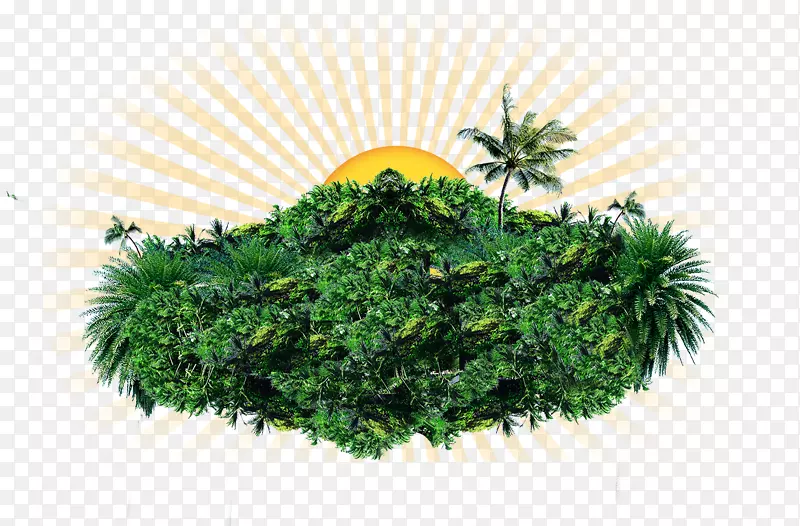 椰子岛日出分层元素