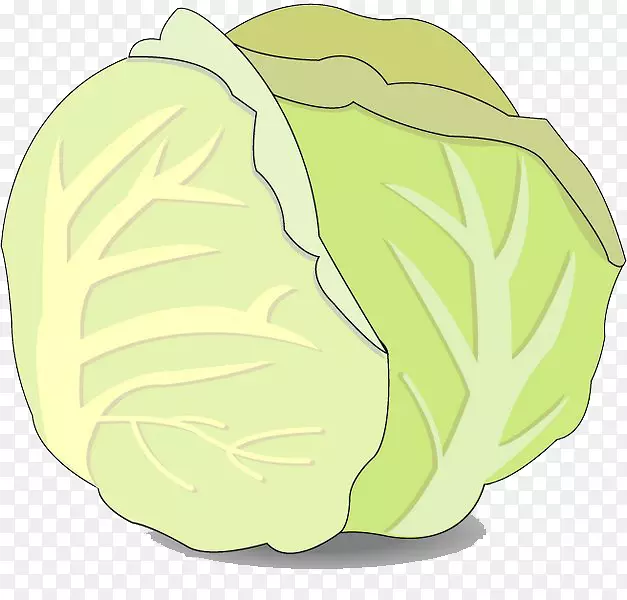 卷心菜化学元素剪辑艺术卡通卷心菜