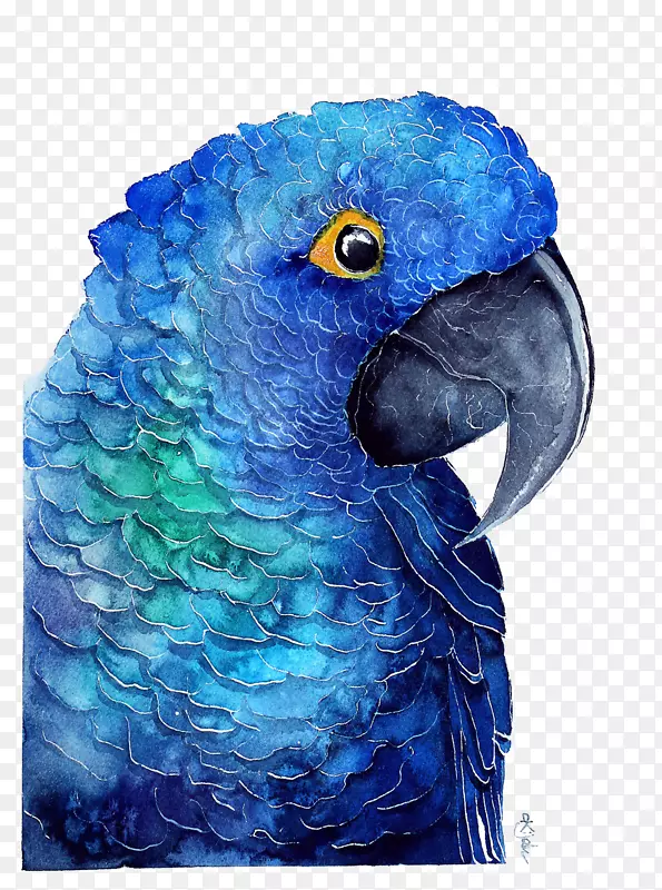 鹦鹉海报水彩画-蓝色鹦鹉