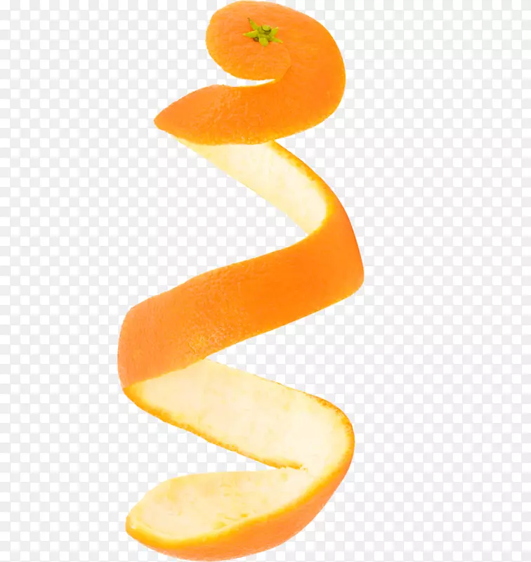 橙皮剪贴画-桔皮