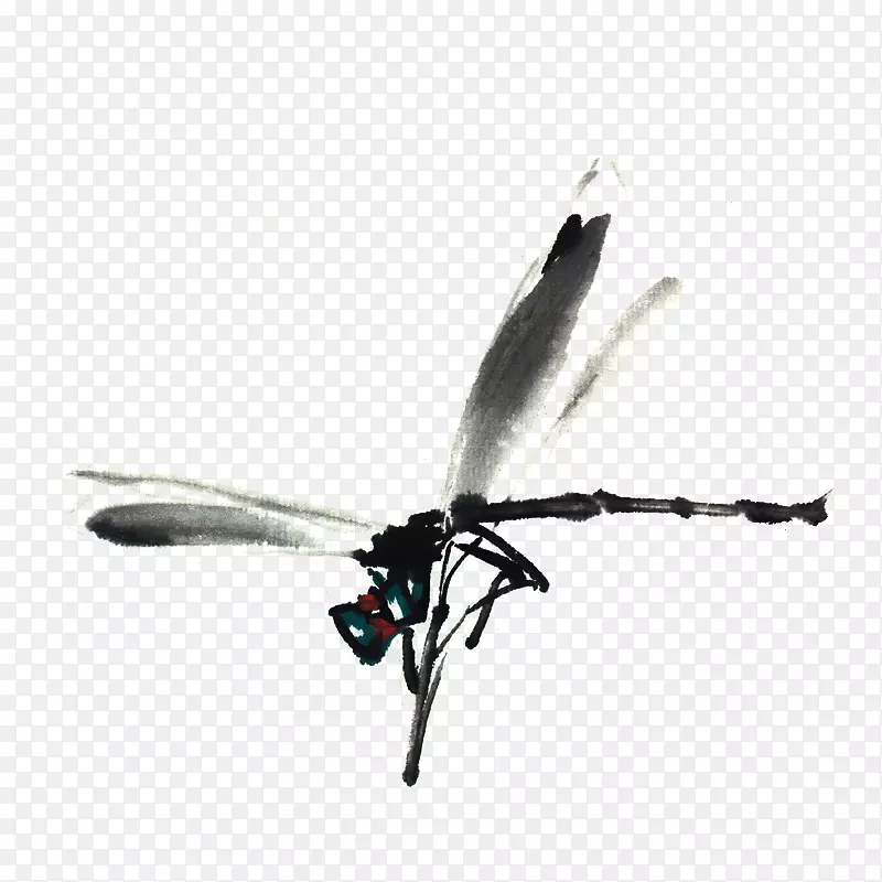 昆虫水彩画蜻蜓装饰元素昆虫
