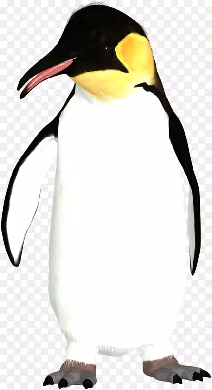 企鹅王图标-企鹅