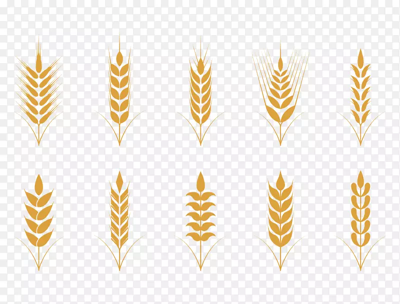 燕麦小麦图标-简单扁平金色小麦图案