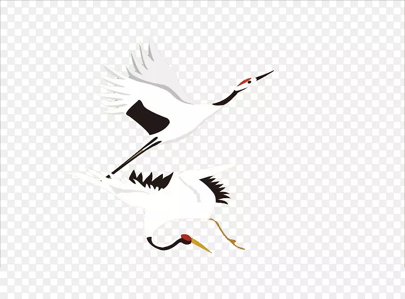 鹤鹅鸟重阳节传统节日-玩鹤