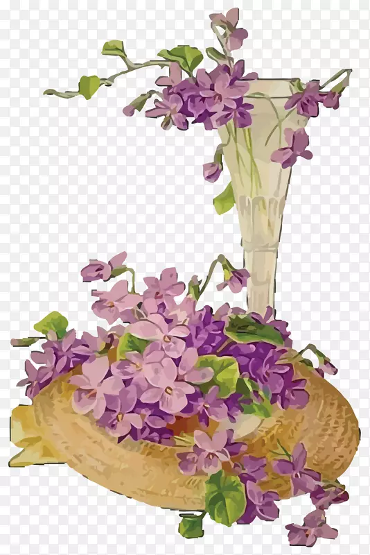 花卉设计绘画.紫罗兰