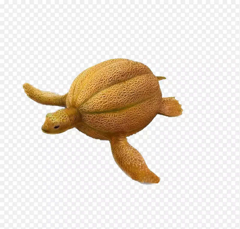 香瓜花蜜猕猴桃蔬菜雕刻龟猕猴桃