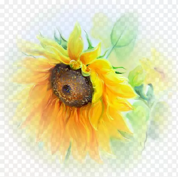视觉艺术水彩画静物-向日葵
