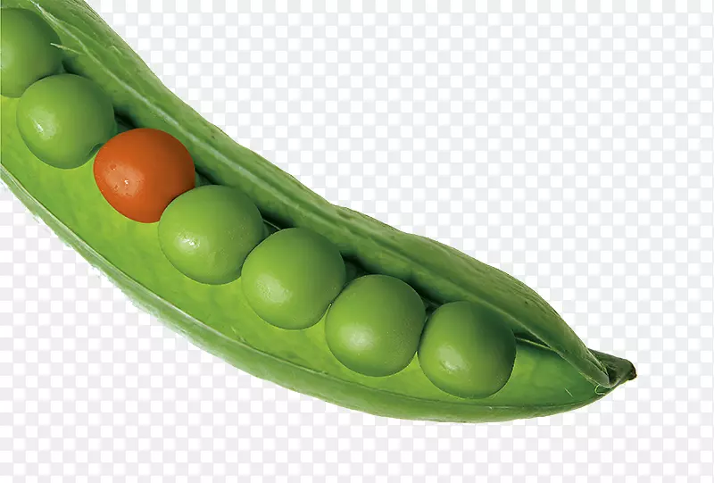 雪豌豆蔬菜片豌豆原料-创意豌豆绿橙