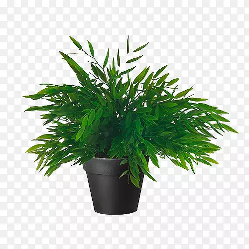 竹Amazon.com室内植物人工花卉植物