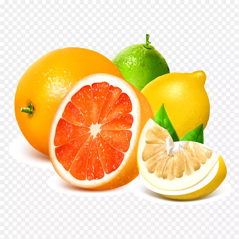 柠檬葡萄柚免专利插图新鲜葡萄柚柑橘和柠檬载体材料