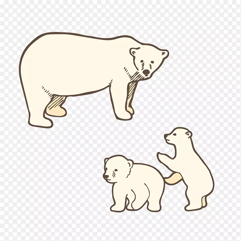 小北极熊-棕熊-北极熊