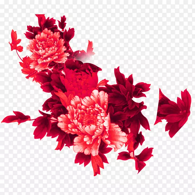 粉红花下载-牡丹