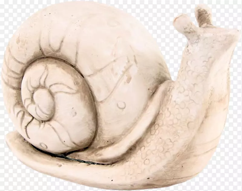蜗牛正交圈模型-蜗牛模型装饰
