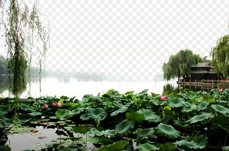 大明湖景观福克-大明湖风景图片