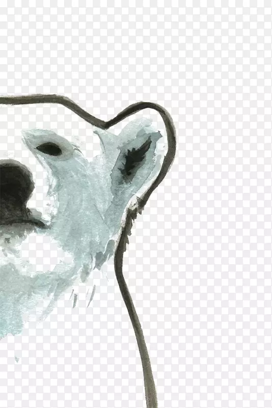 北极熊绘画插图.手绘北极熊