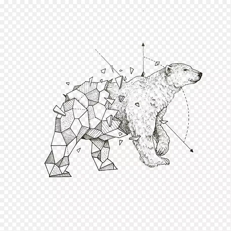 菲律宾北极熊简略故事：克比·罗森斯的素描本艺术-北极熊