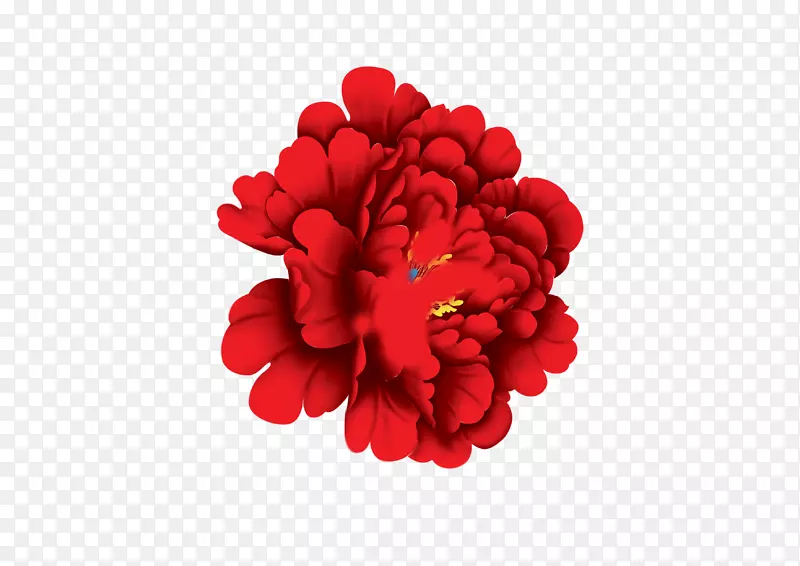 牡丹花-红牡丹花