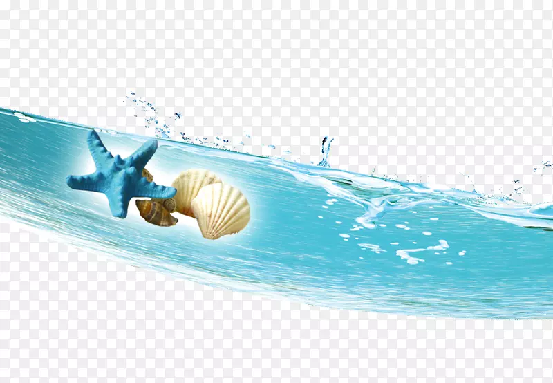海螺下载海螺图标-喷雾海螺壳
