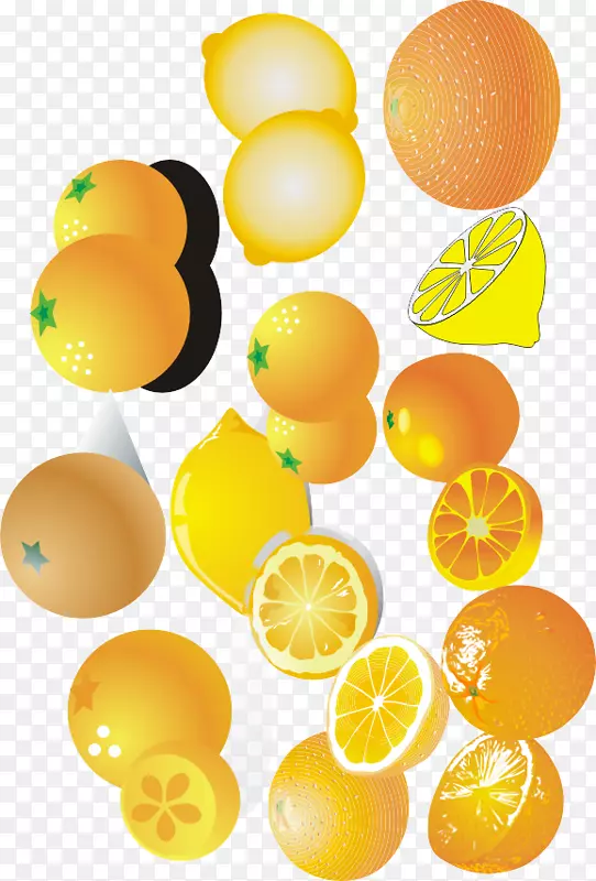 柠檬橘子，巴伦西亚橘子-橙子