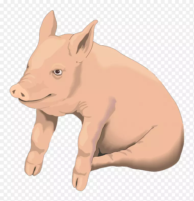 家猪烤肉艺术-卡通猪