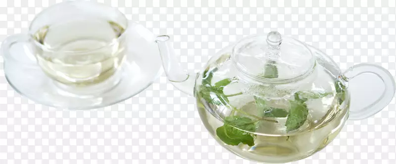 绿茶玻璃饮料草药鲜绿茶