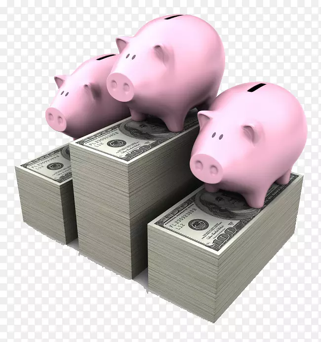 国内生猪银行存款账户图例-储蓄罐和现金