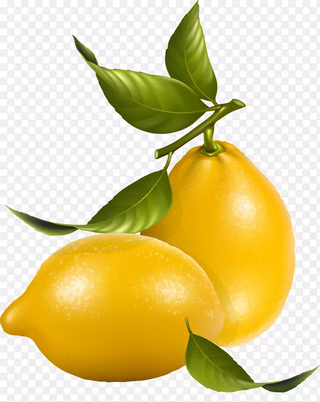 柠檬版税-免费剪贴画-柠檬