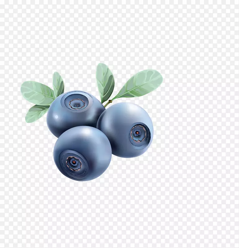 蓝莓食品插图.手绘图形设计