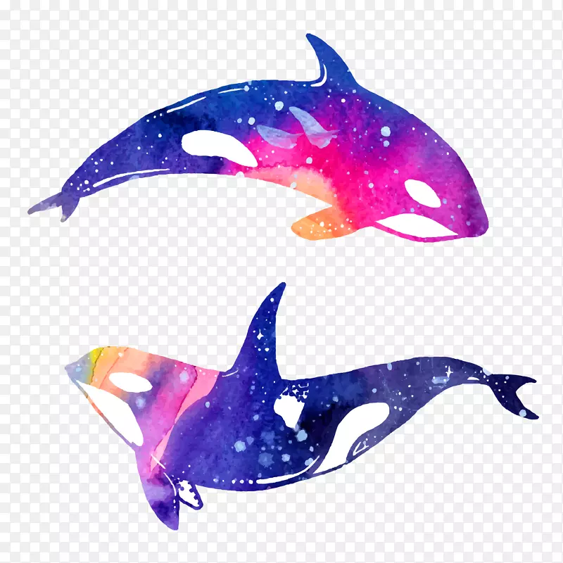 海豚水彩画插图.手绘鲸鱼