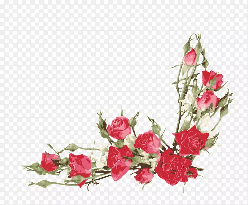 玫瑰花束剪贴画-红玫瑰边
