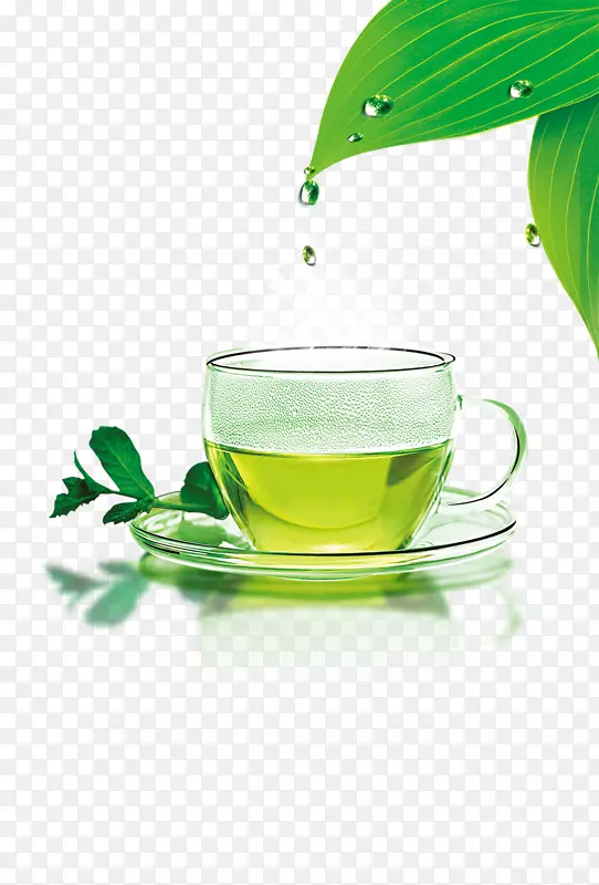 绿茶咖啡厅图标-新鲜绿茶
