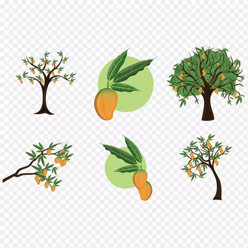 芒果树夹艺术-鲜芒果