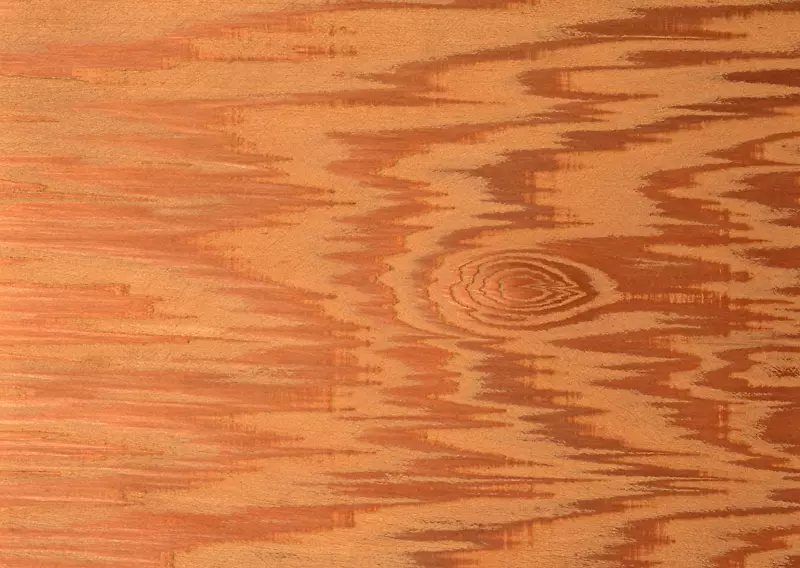 木地板纹理映射三维计算机图形.木材