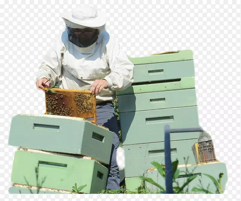 加拿大养蜂人-收集蜂蜜的人