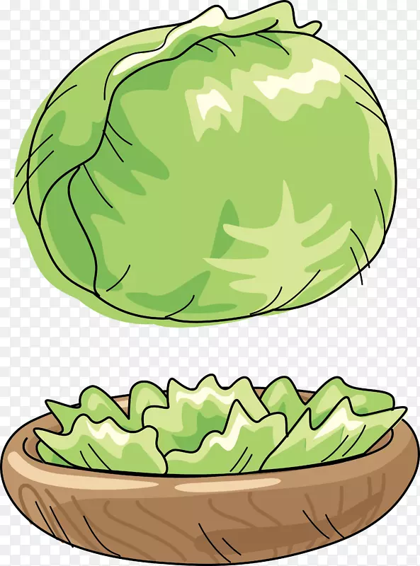卷心菜西瓜蔬菜卡通片艺术-绿色卷心菜