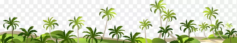 Adobe插画椰子-海滨椰子树装饰边界