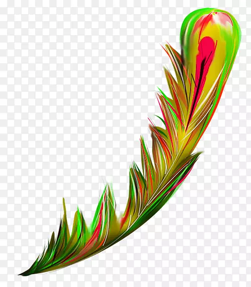 鸟类羽毛绿色绿色新鲜羽毛装饰图案