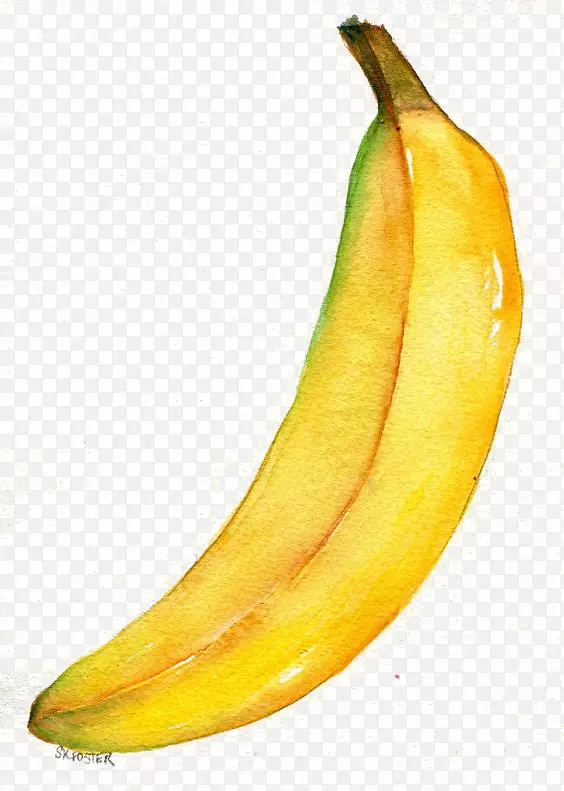 水彩画香蕉画插图-香蕉