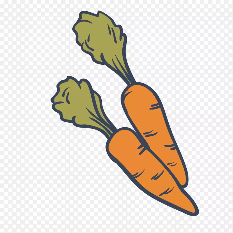 绘制胡萝卜蔬菜食品.载体胡萝卜