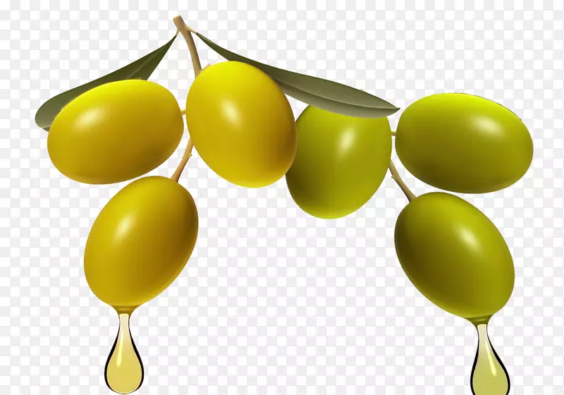 橄榄油礼品香醋-橄榄创意新年礼物
