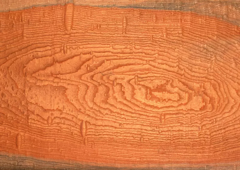 木、纸、树纹理图.木材