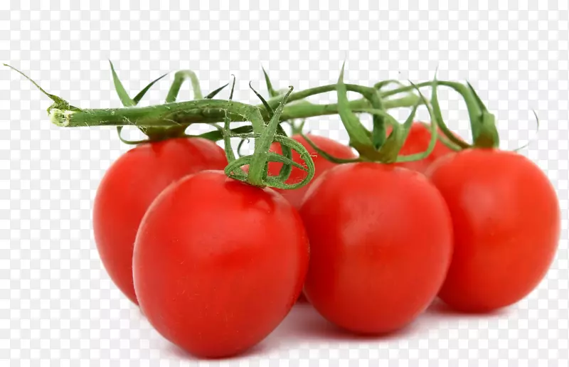 有机食品水果蔬菜番茄-番茄叶