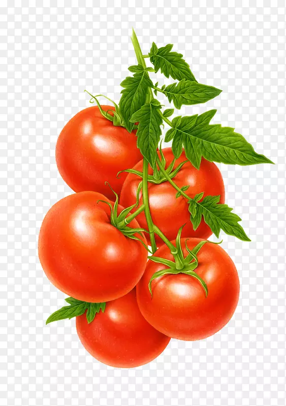 果汁樱桃番茄蔬菜水果油炸绿色番茄手绘红色西红柿
