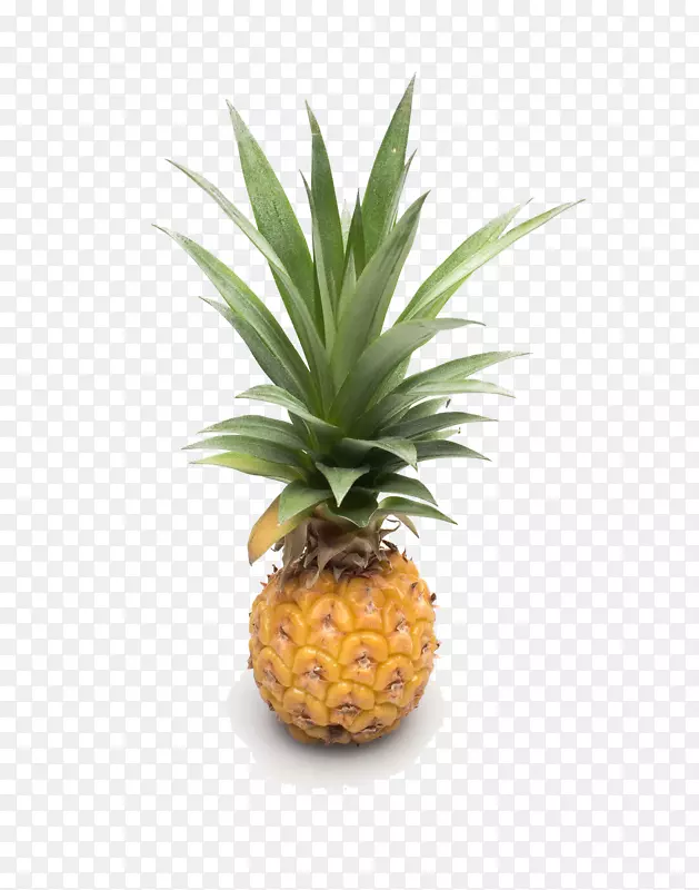 菠萝奥格里斯水果谷歌图片-菠萝无垫子实物产品