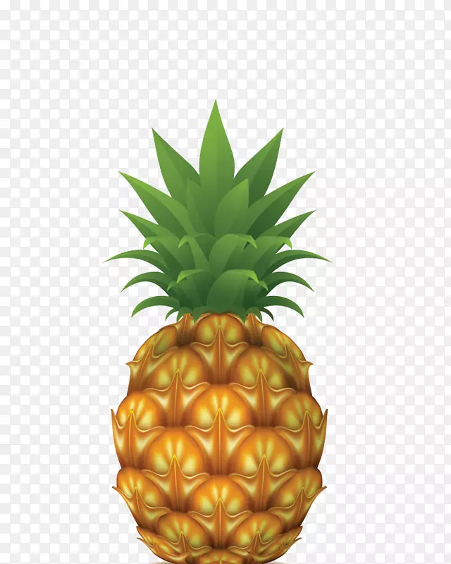 菠萝图库摄影插图-菠萝