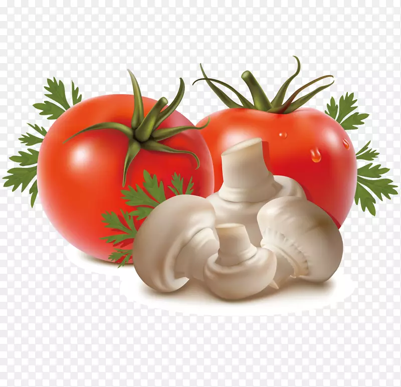 蔬菜水果番茄茄子番茄蘑菇