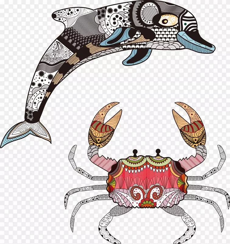 蟹海豚剪贴画-里索的海豚和螃蟹载体