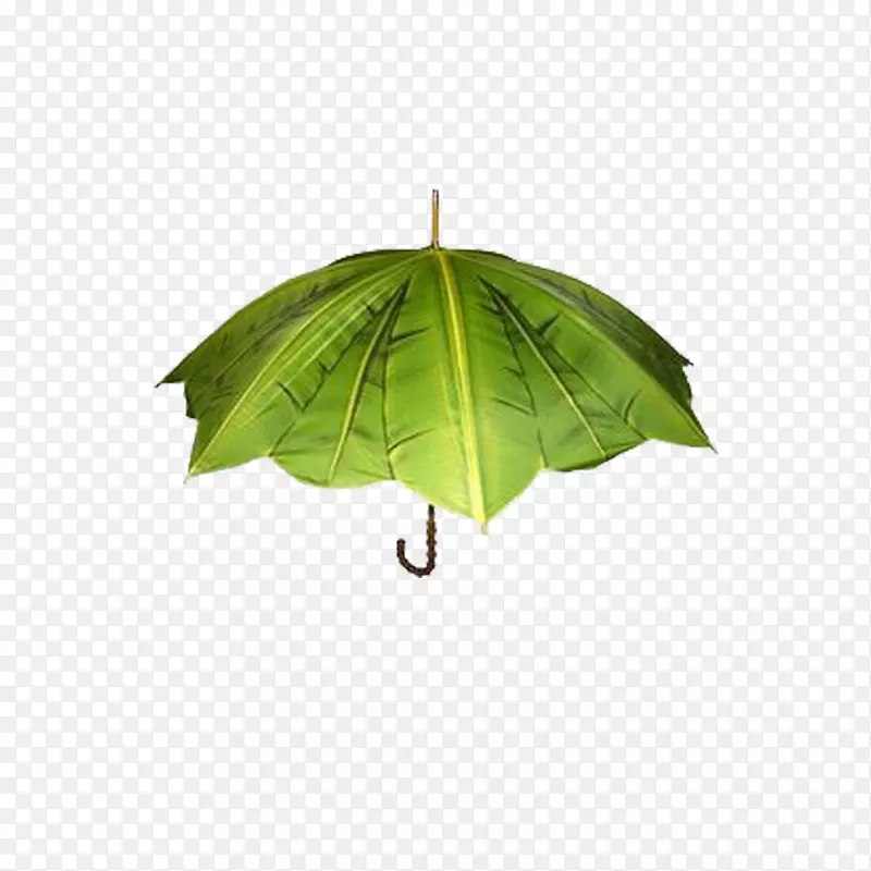 雨伞创意设计师-雨伞