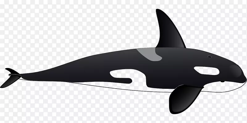 虎鲸海豚剪贴画-黑鲸